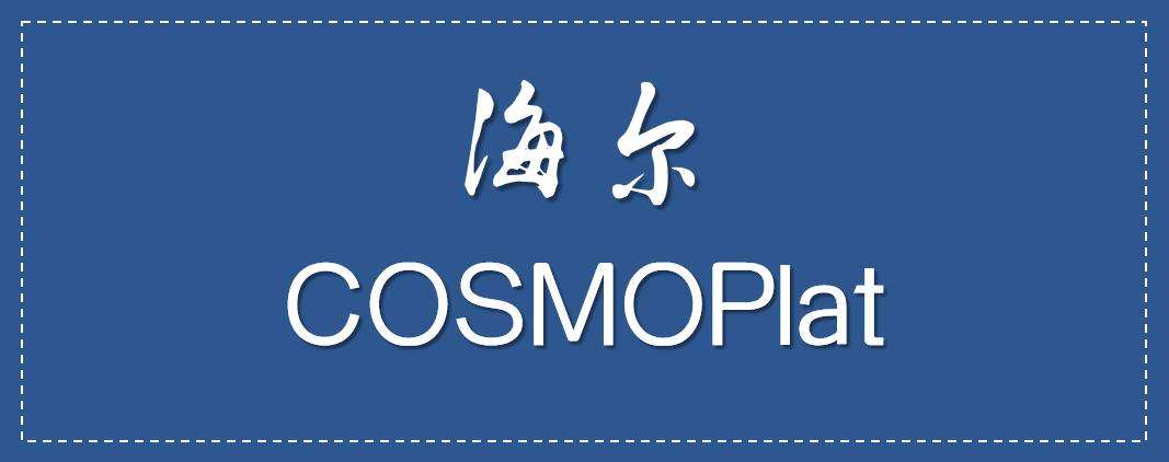 海尔数科CEO谢海琴：双跨